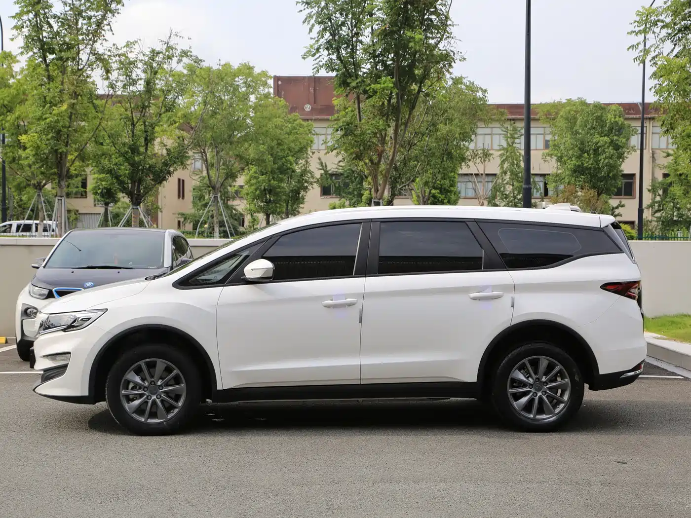 Ruilan Auto Maple 80v 2024 2021 Youxing Edition Ternary Lithium