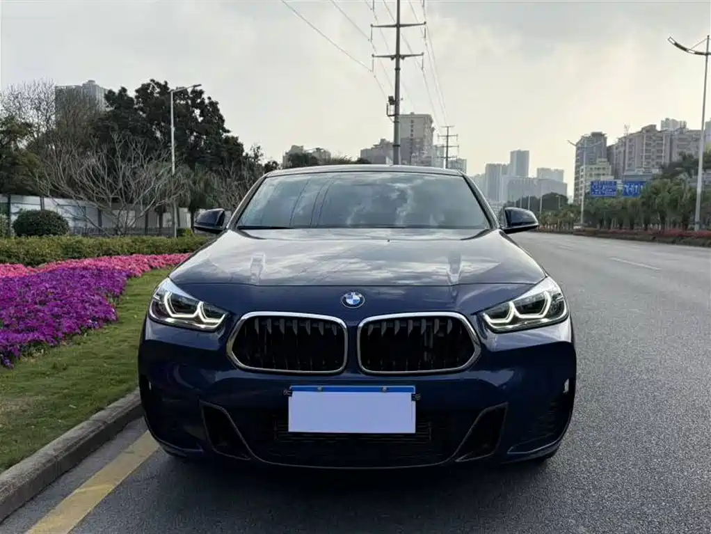 BMW X2 2020 sDrive25i Leading M Sport Package фото 2