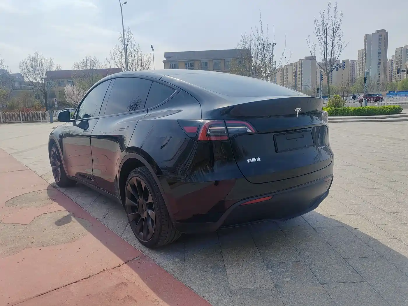 TESLA MODEL Y