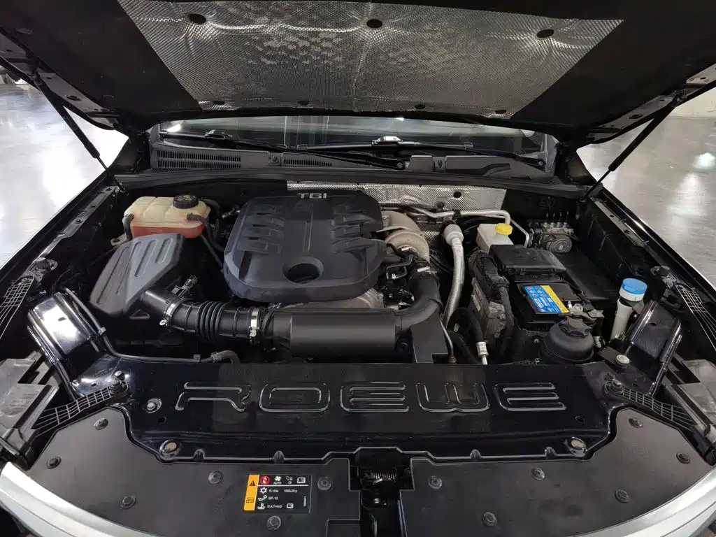 Фото 6 - Roewe RX8