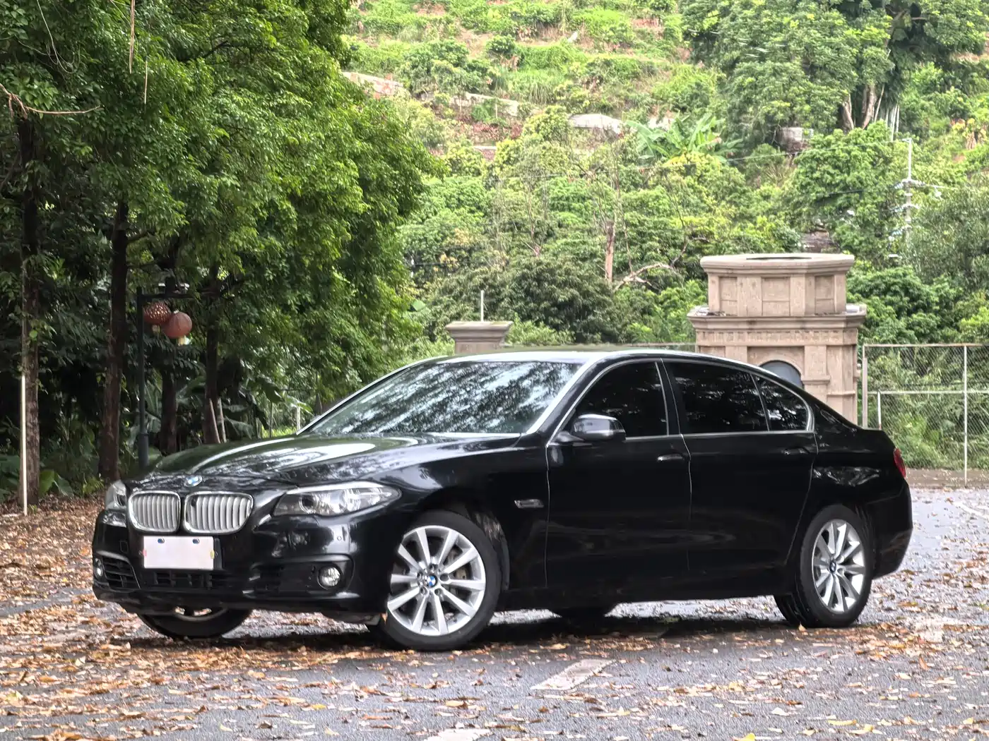 BMW 5 Series 2015 535Li Leading