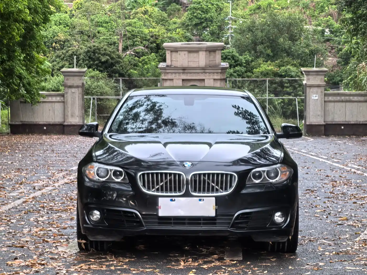 BMW 5 Series 2015 535Li Leading фото 3