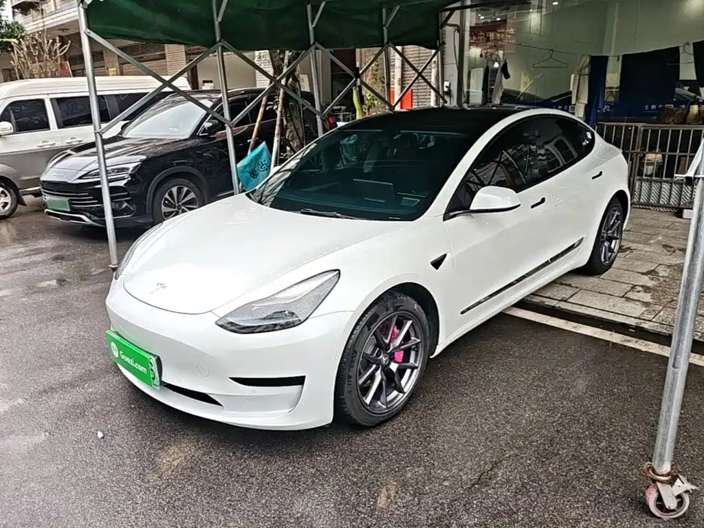 Tesla Model 3 2022 Model Rear-Wheel Drive Version