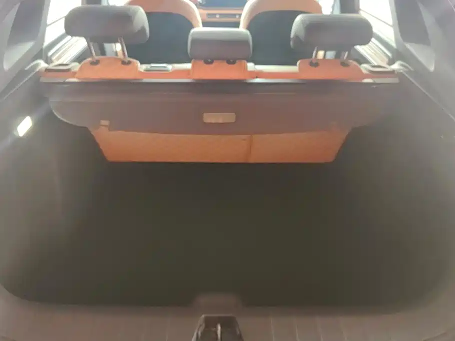 Фото 4 - Geely ICON