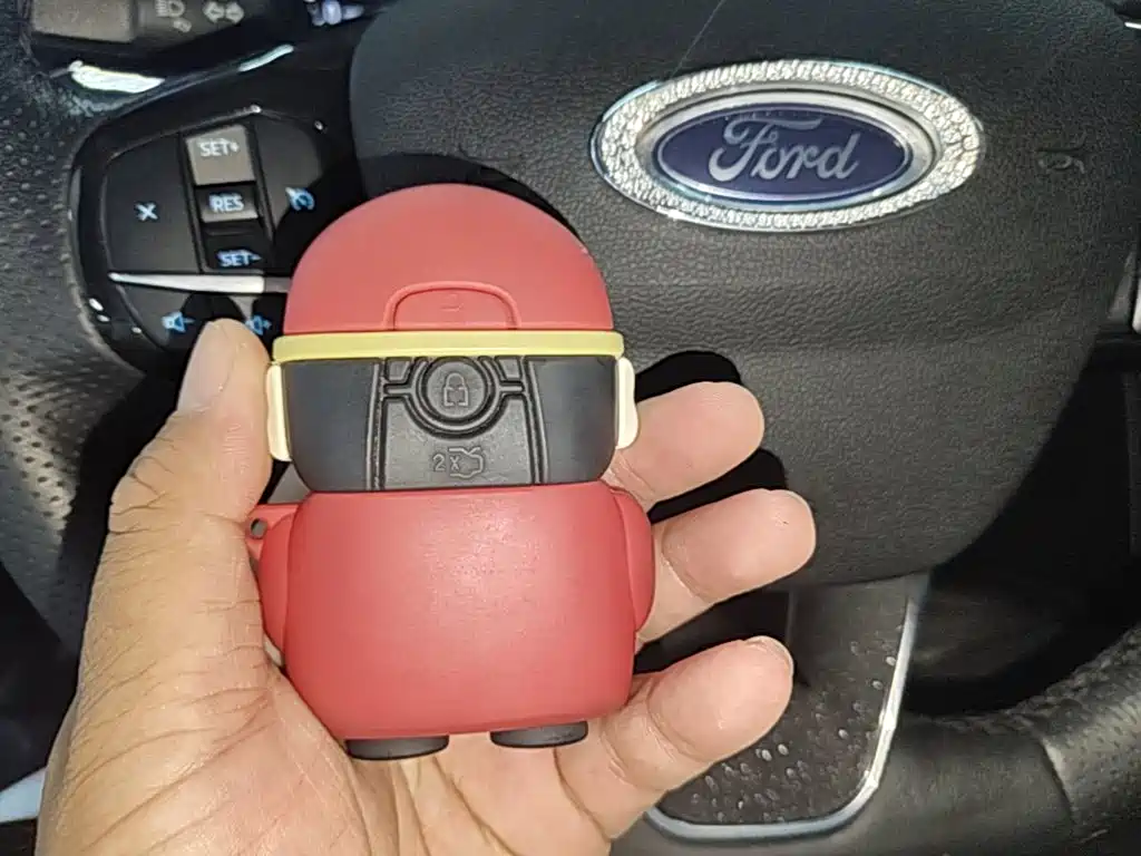 FORD RUIJI