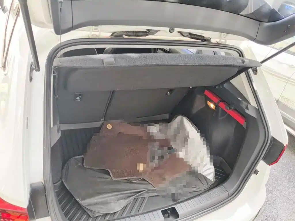 Volkswagen Tharu, миниатюра 17