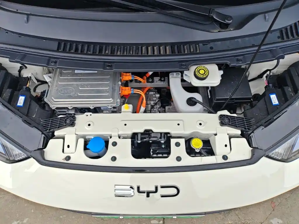 Photo 20 - BYD Seagull