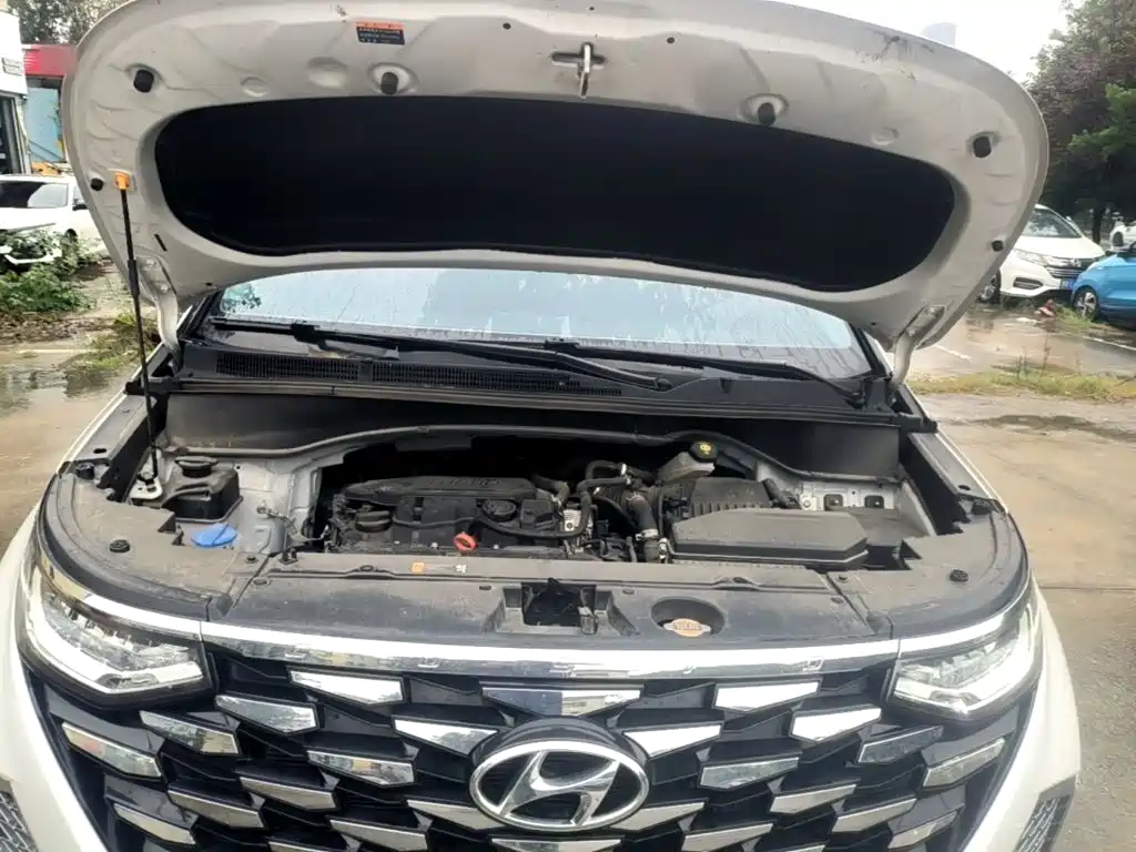 Hyundai Custo 2024 2024 270TGDi LUX Premium Edition