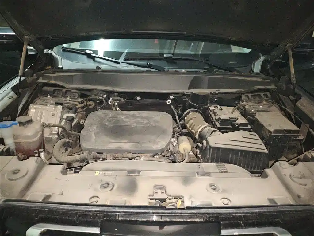 Haval Big Dog 2022 1.5T DCT FWD Border Collie Edition фото 11