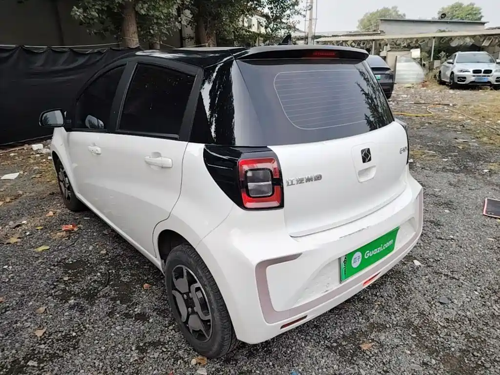Sehol Flower Fairy 2021 2021 302km Luxury Edition 31.4kWh