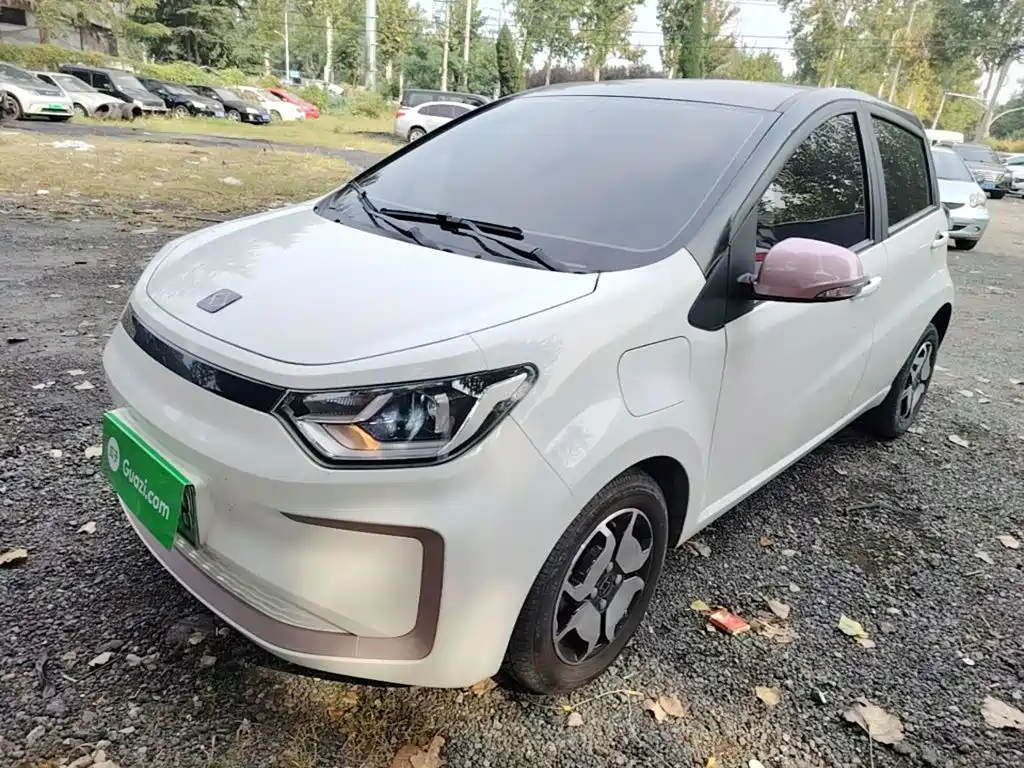 Sehol Flower Fairy 2021 2021 302km Luxury Edition 31.4kWh