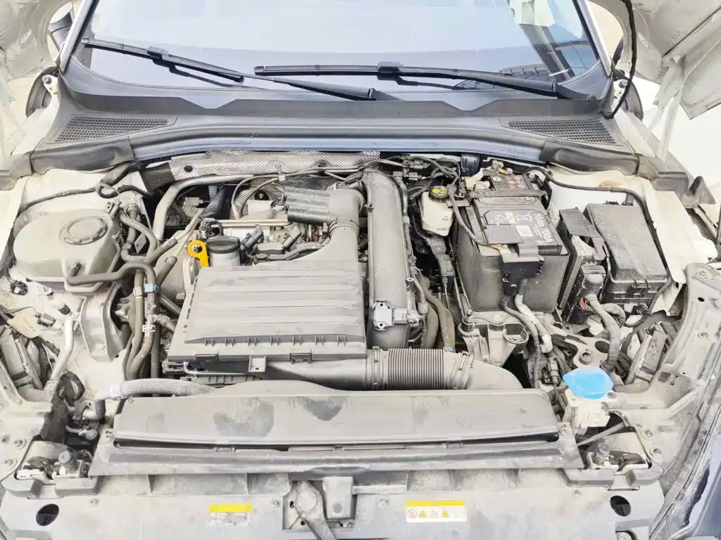 صورة 9 - Volkswagen Lamando