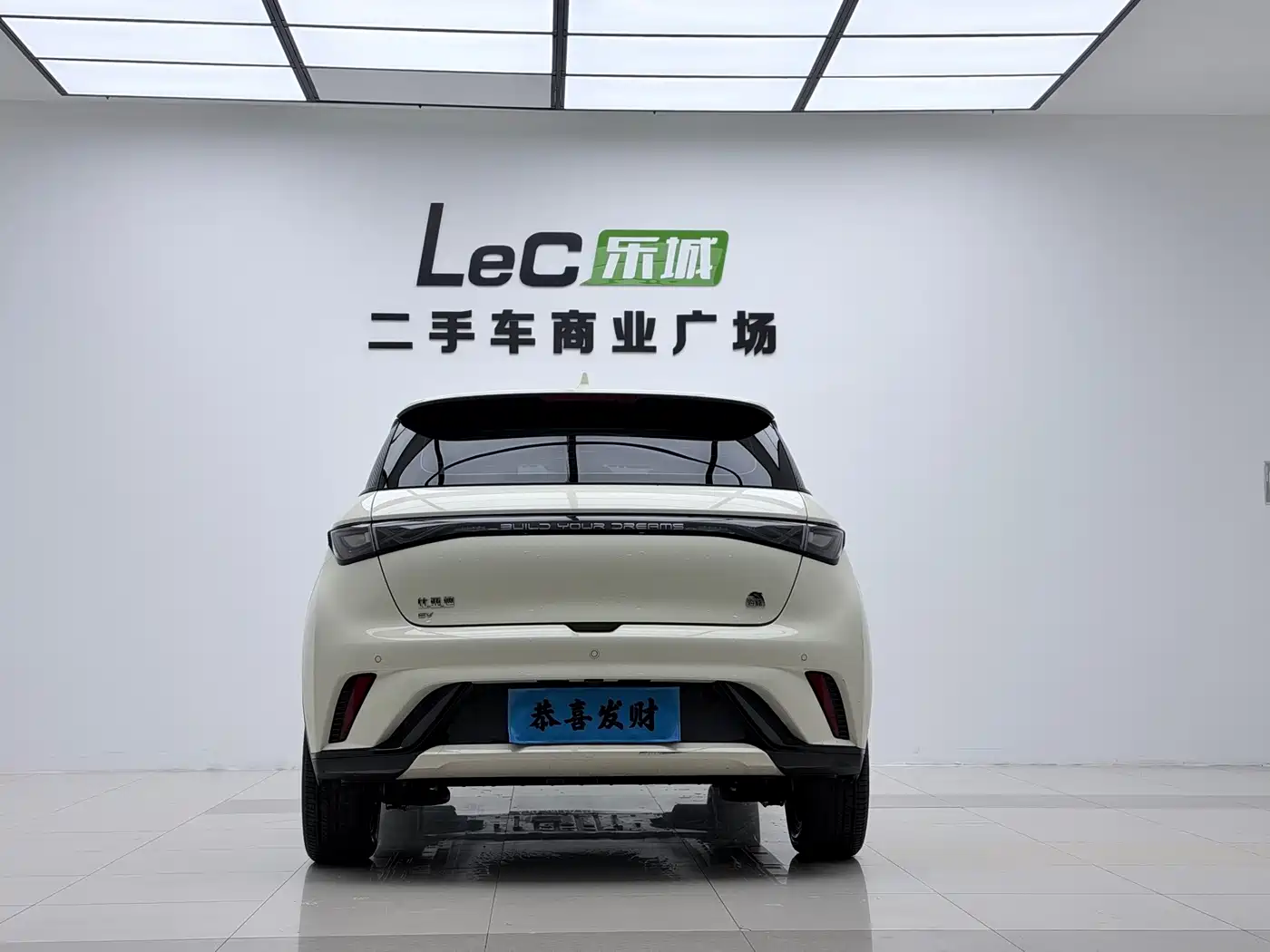 BYD Dolphin 2022 2021 Model 405km Fashion Edition