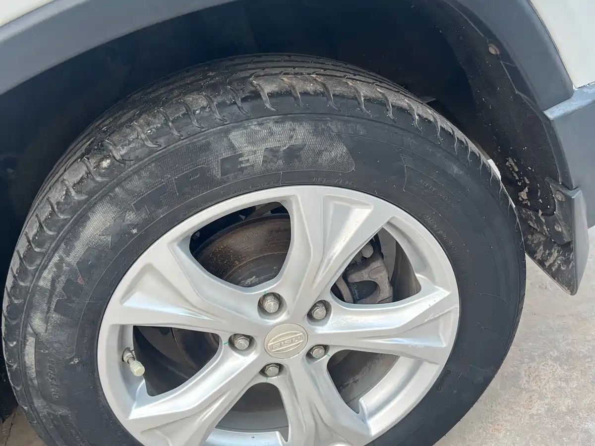 Bisu Auto Bisu T5 2017 2017 1.5T Manual Luxury