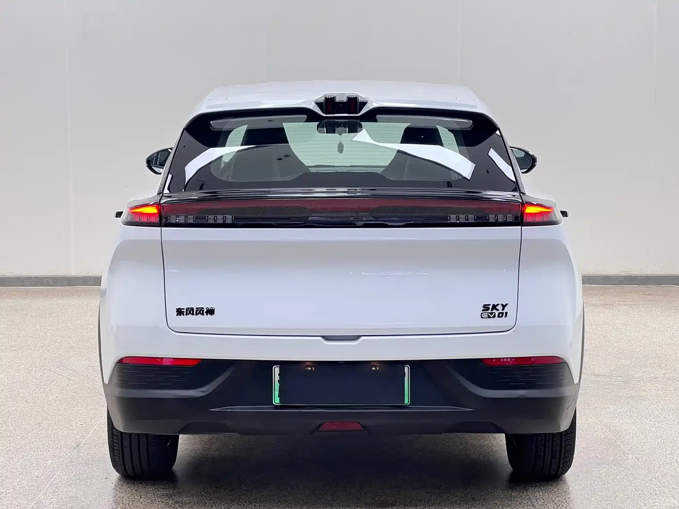 Dongfeng Aeolus SKY EV01 2025 2025 530km PRO Elite Executive Edition
