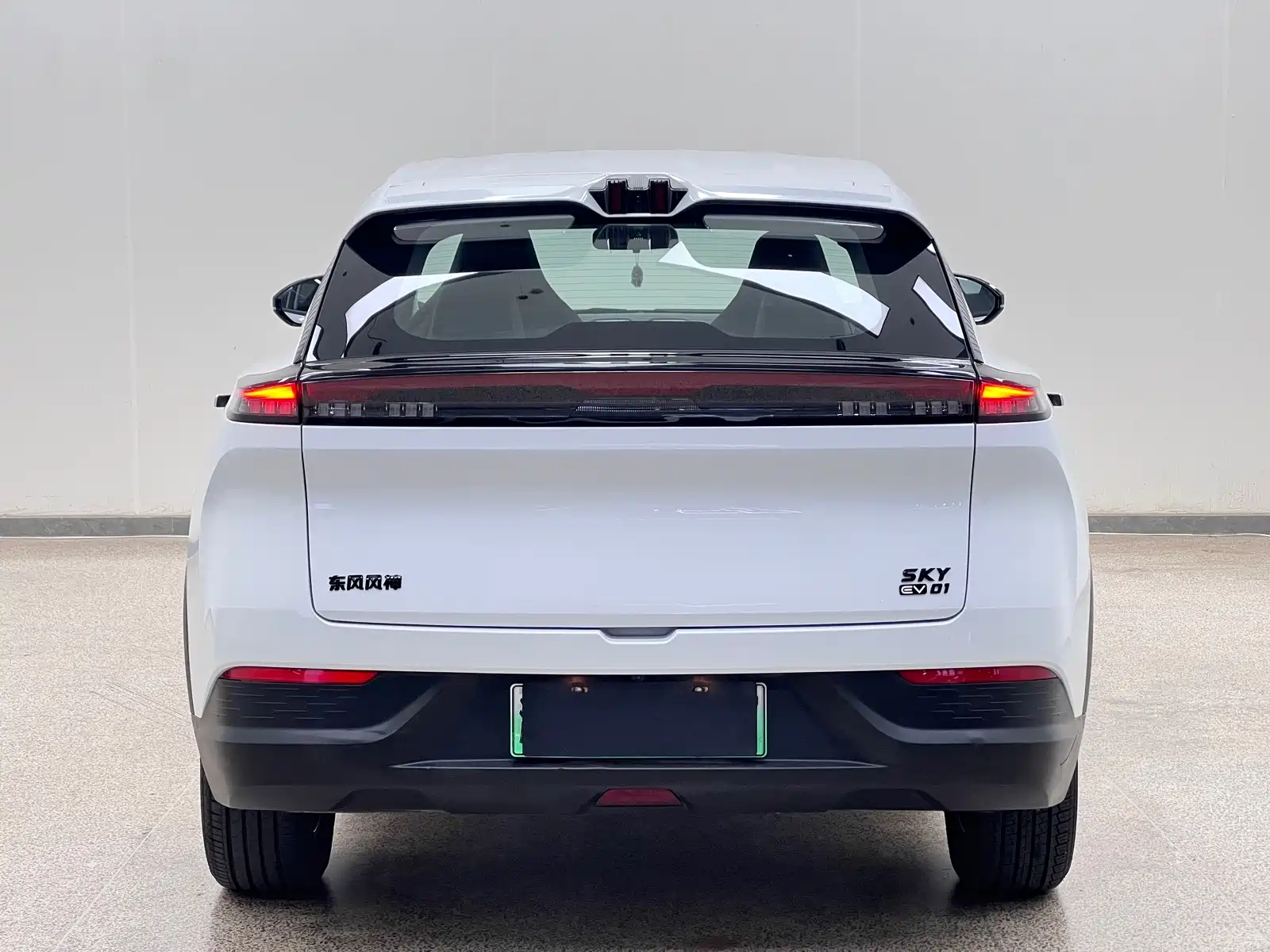 Фото 5 - Dongfeng Aeolus SKY EV01