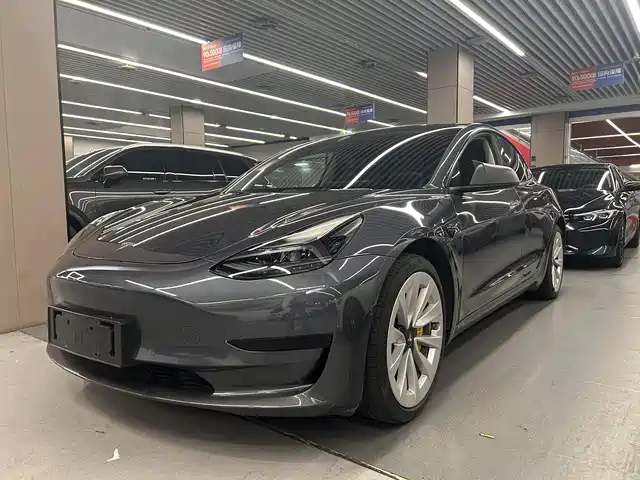 TESLA MODEL 3 2021