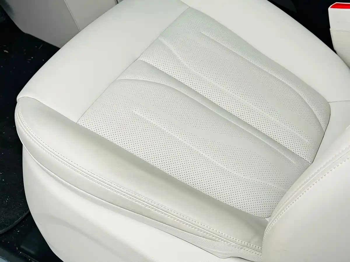 BUICK GL8 NEW ENERGY