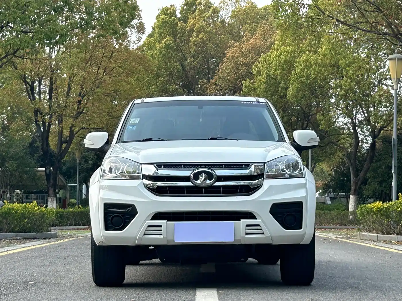 GREAT WALL FENGJUN 5