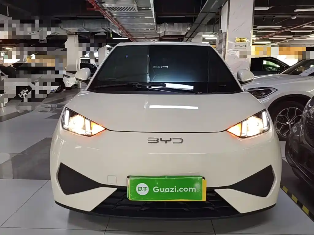 BYD Seagull 2026 2025 Smart Drive Edition 305km Vitality Version