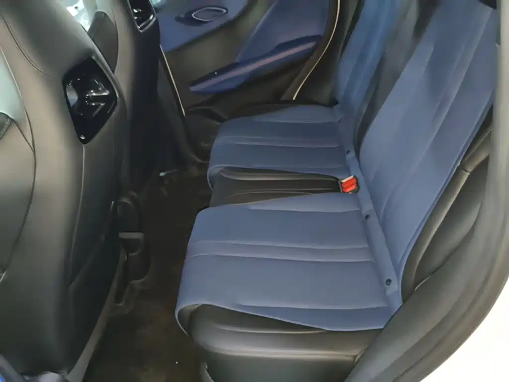 BYD Seagull 2026 2025 Smart Drive Edition 305km Vitality Version