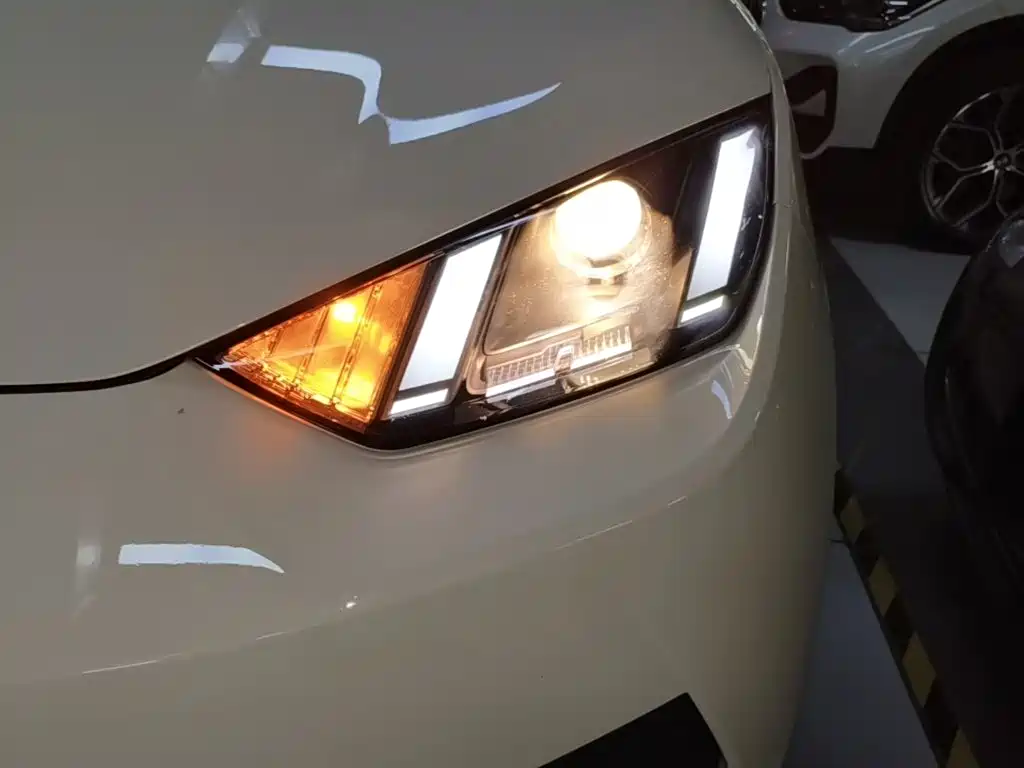 BYD Seagull 2026 2025 Smart Drive Edition 305km Vitality Version