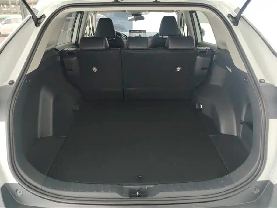 Toyota Wildlander 2020 2.0L CVT AWD Luxury Edition фото 4