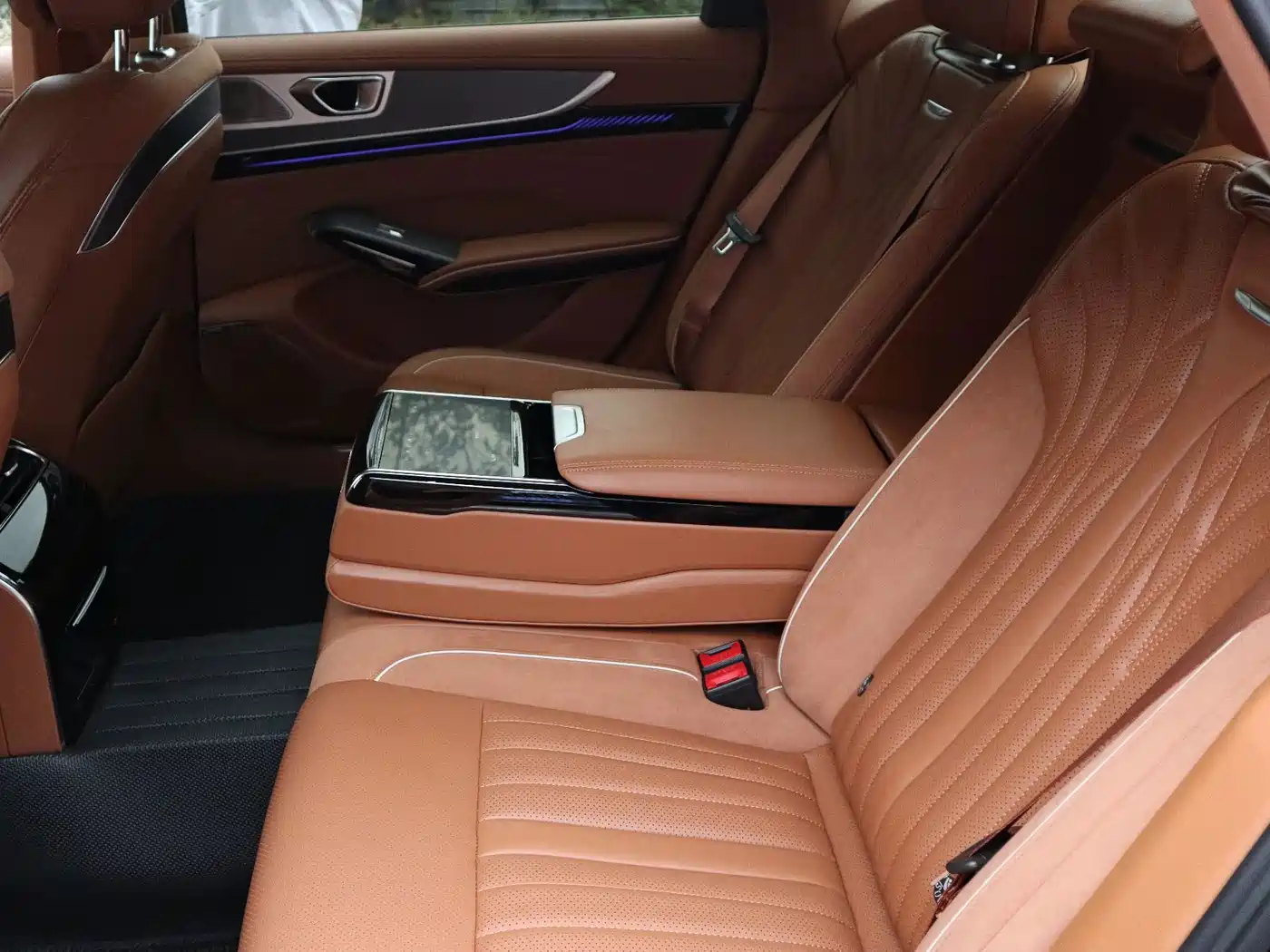 Hongqi H9 2025 2025 2.0T 2WD Qixiang Private Style Edition 5-seater