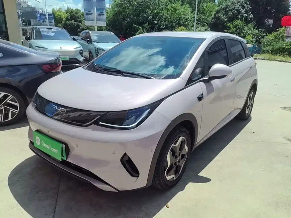 BYD Dolphin 2026 2025 Smart Drive Edition 420km Freedom Version