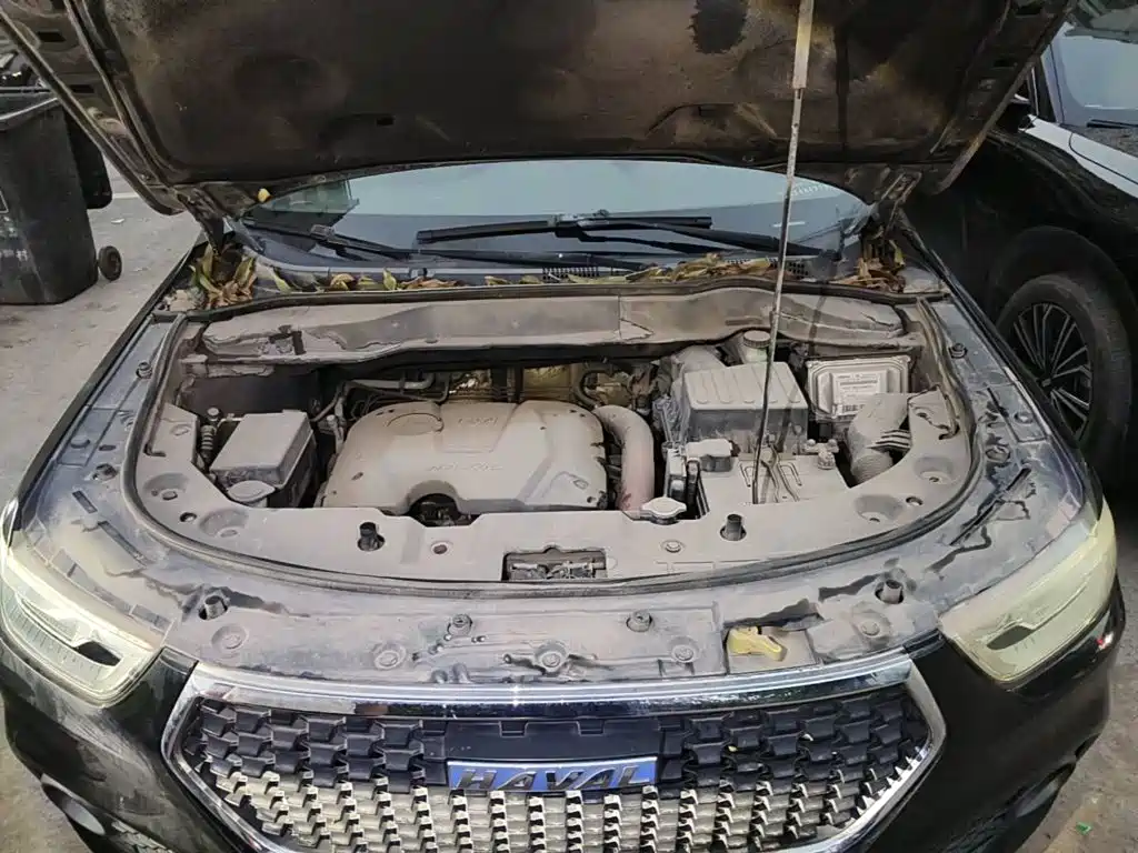 Фото 9 - Haval H2