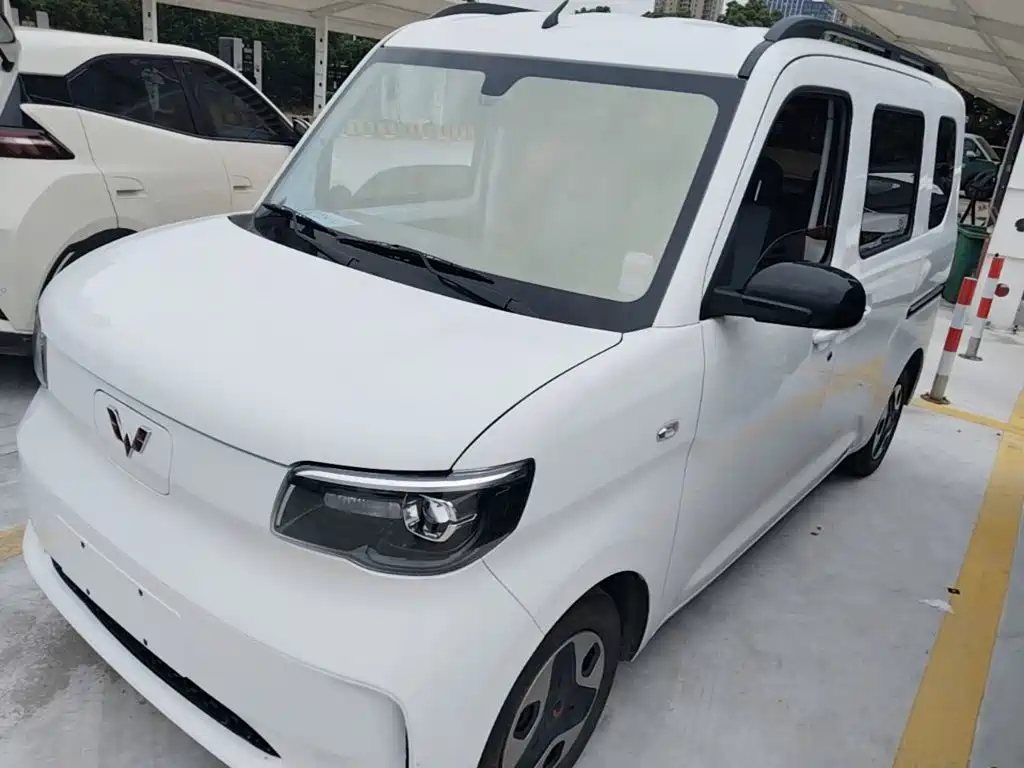 Wuling Motors Wuling Zhiguang NEV 2025 Model 305km Base Version