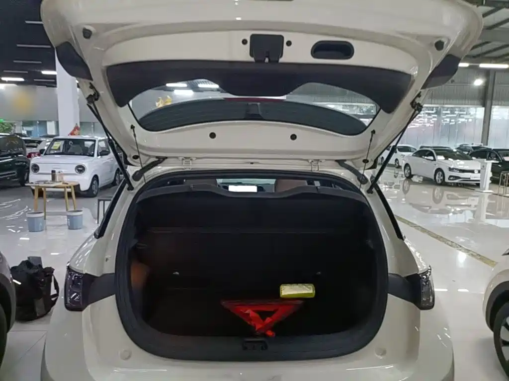 Photo 19 - BYD Dolphin