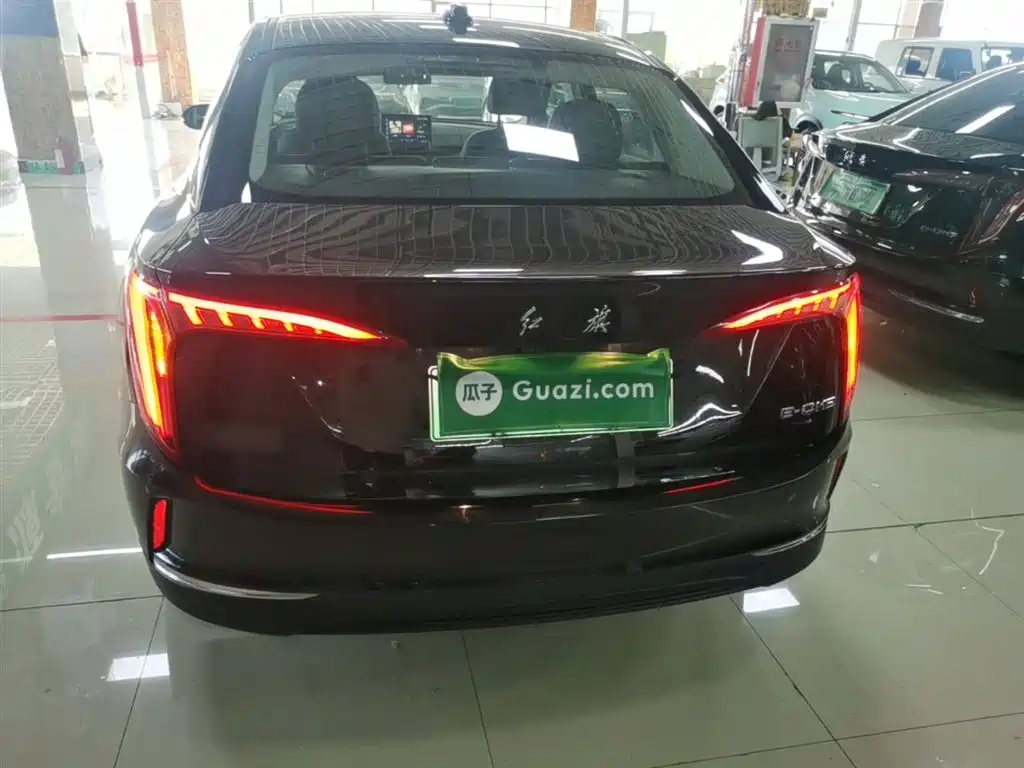 Hongqi E-QM5 2023 Facelift Basic Travel Edition фото 6