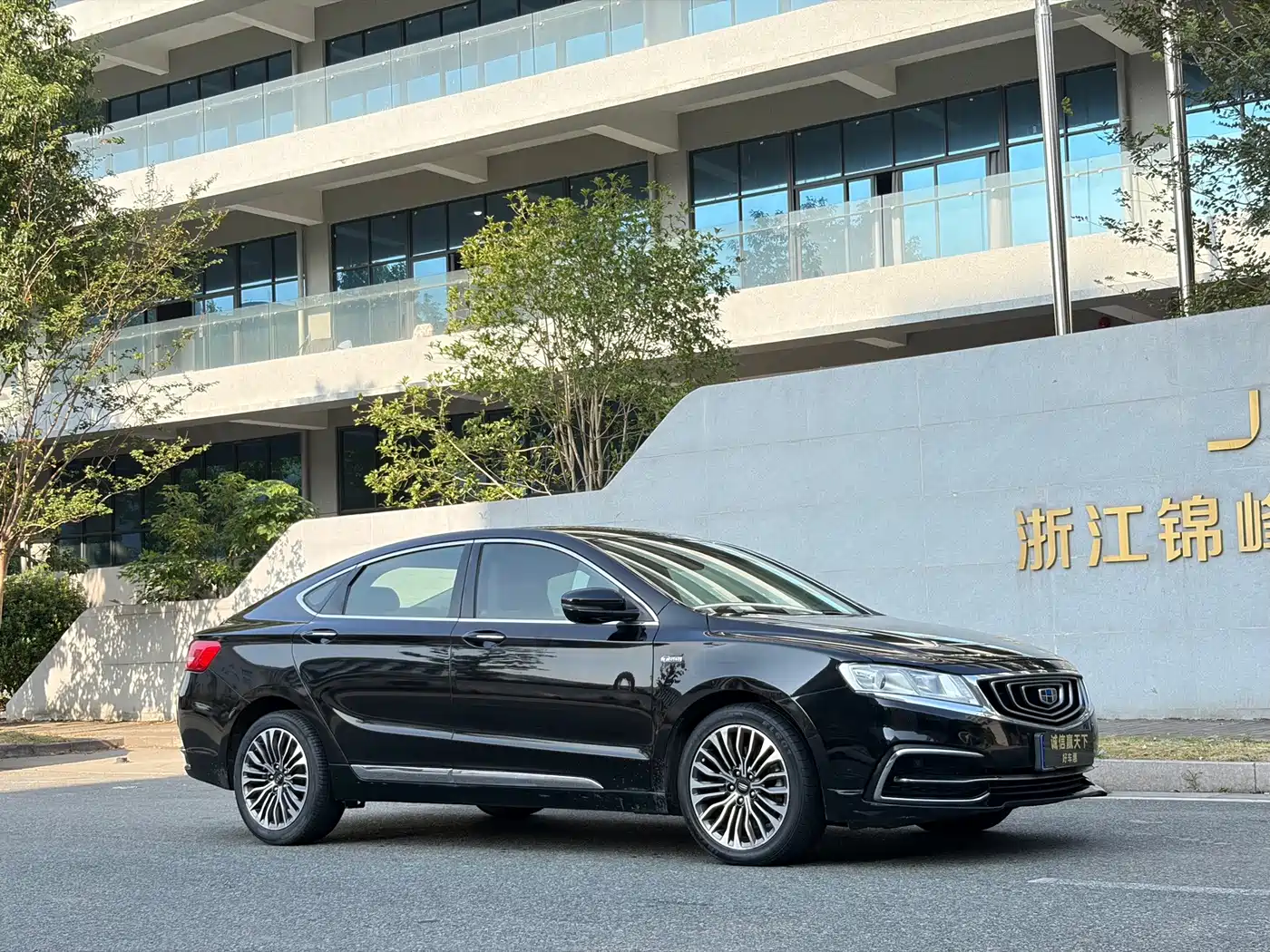 Фото 4 - Geely Borui