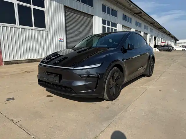 Tesla Model Y 2025 Rear-Wheel Drive — фото 1