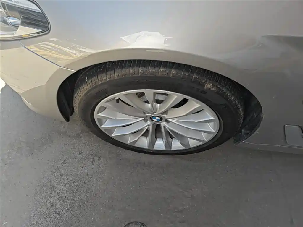 BMW 5 Series New Energy 2020 530Le Range Upgrade Luxury Package фото 23