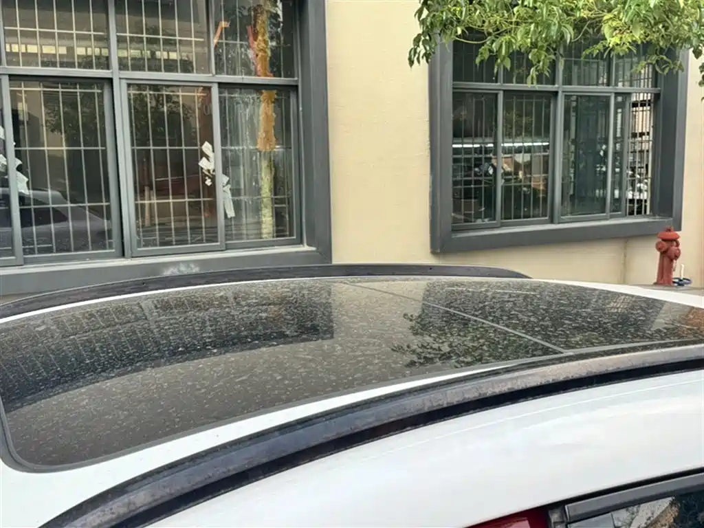 Porsche Macan 2017 Macan 2.0T фото 21