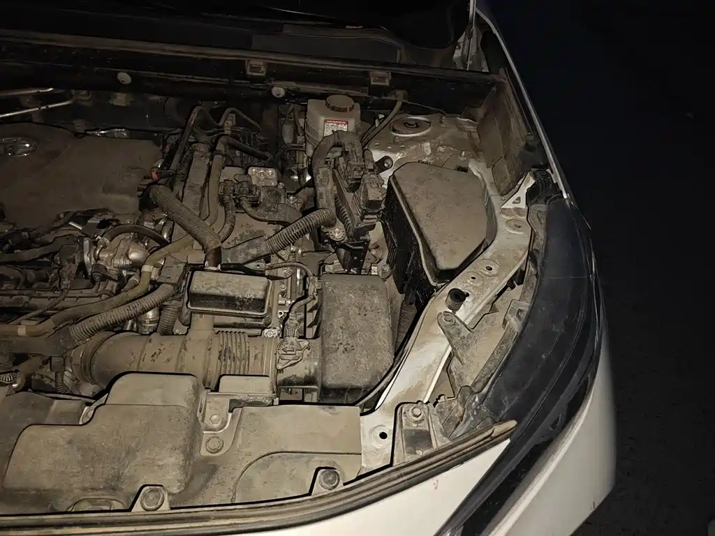 Toyota Wildlander 2023 Hybrid 2.5L E-CVT FWD Luxury PLUS Edition фото 22