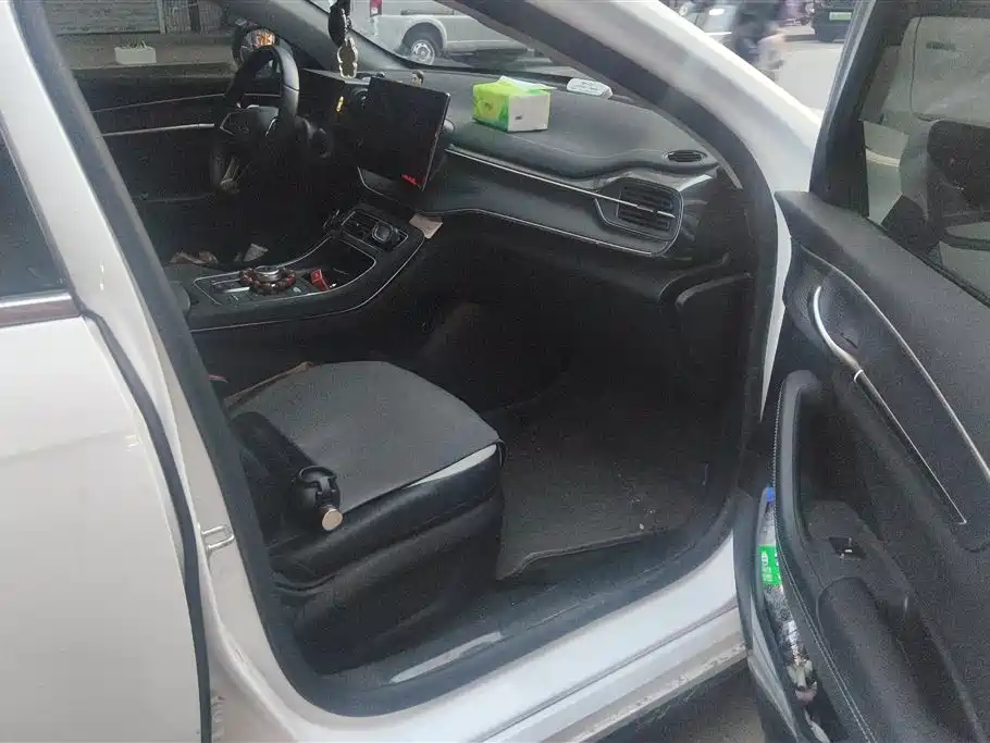 BYD Destroyer 05 2024 Glory Edition DM-i 55KM Luxury фото 8