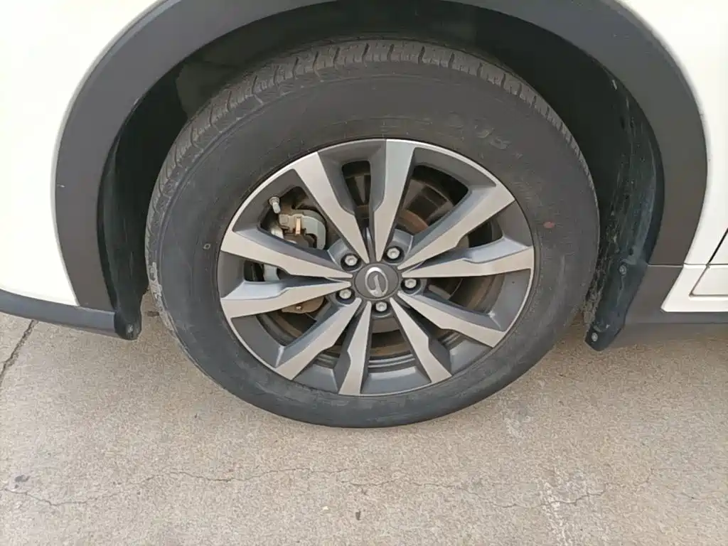 Aion Trumpchi GE3 2020 2020 530 Internet Premium Edition