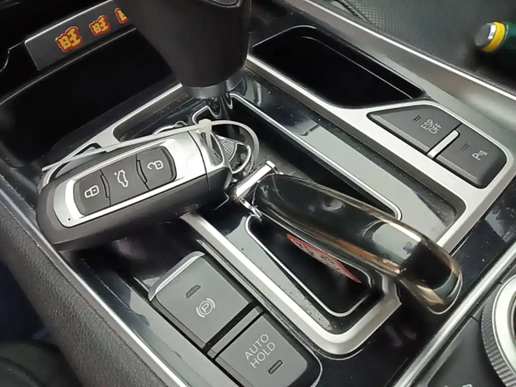 Photo 9 - Geely Borui