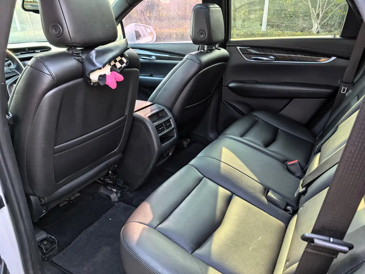 Cadillac XT5 2018 28E AWD Technology Model фото 10