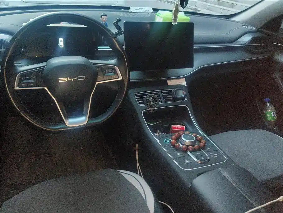 BYD Destroyer 05 2024 Glory Edition DM-i 55KM Luxury фото 12