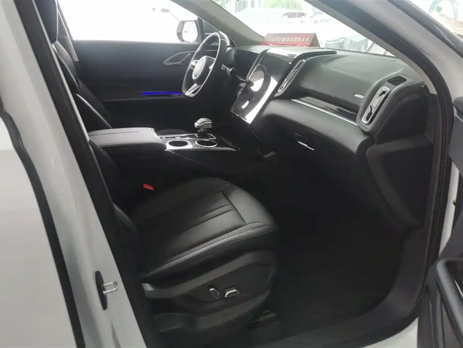 Hongqi HS3 PHEV 2024 PHEV 115km Power Edition фото 8