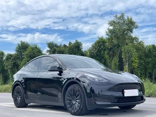 Tesla Model Y 2023 Rear-Wheel Drive Edition — фото 3