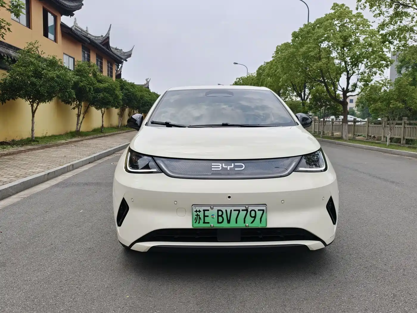 BYD Dolphin 2025 Smart Drive Edition 420km Freedom Version фото 2