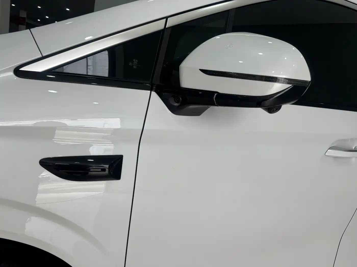 BYD Xia 2025 DM-i 1.5T 180km Surpass Edition фото 15