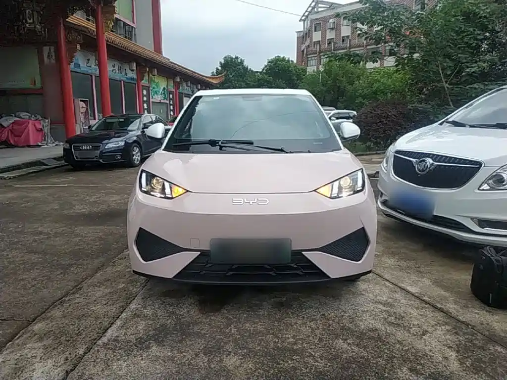 BYD Seagull 2026 2025 Smart Drive Edition 305km Vitality Version