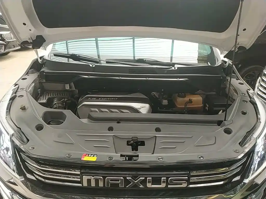 Фото 20 - Maxus Maxus G50