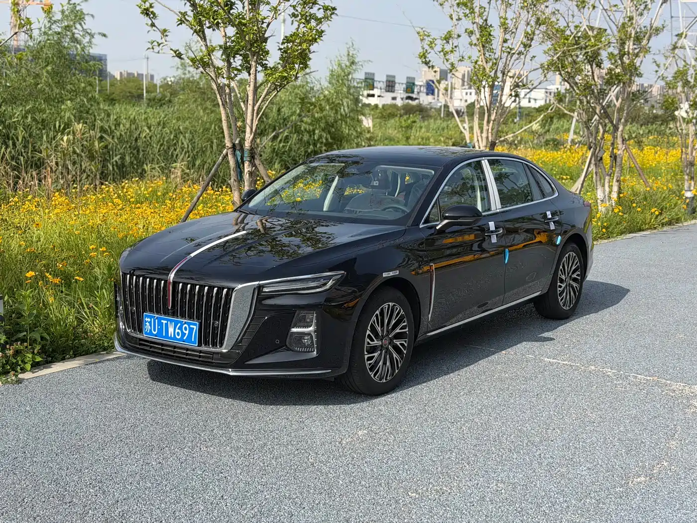 Hongqi H5 2025 2.0T Automatic Flag Celebration 500,000 Units Anniversary Edition